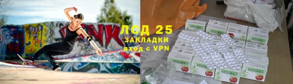 ГАЛЛЮЦИНОГЕННЫЕ ГРИБЫ Балабаново