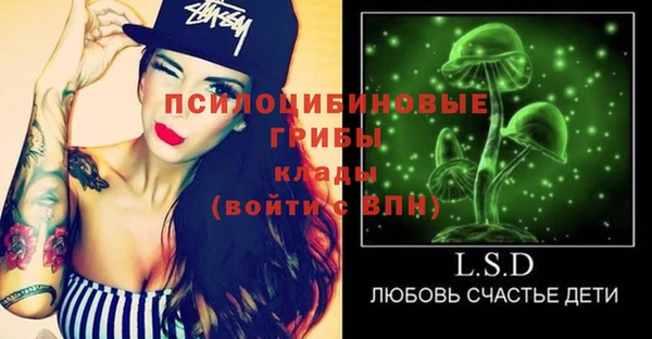 ГАЛЛЮЦИНОГЕННЫЕ ГРИБЫ Балабаново
