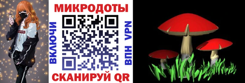 наркотики Пестово Галлюциногенные грибы Magic Shrooms