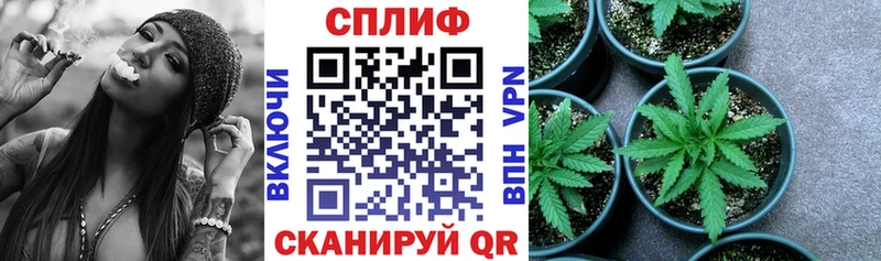 сайты даркнета наркотические препараты  Пестово  Бошки Шишки марихуана 